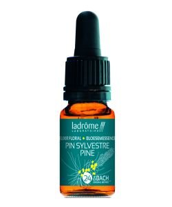 Pine (No. 24) BIO, 10 ml